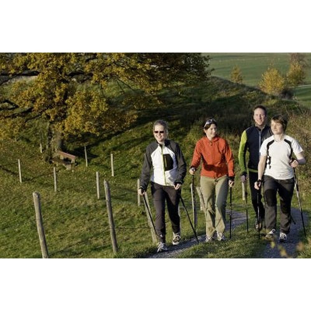 Nordic Walking Poles/Glove Grip/flip locks/detachable feet/travel bag/pair/Heights up to 6’2”